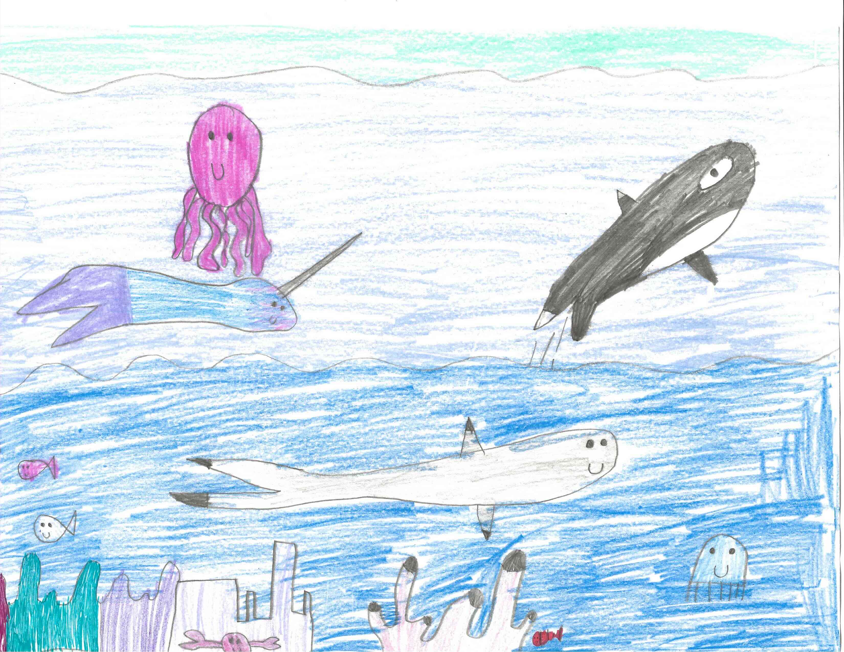 Orca in the Ocean
